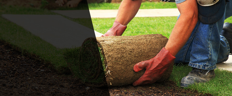 Mc Cormick Landscapers